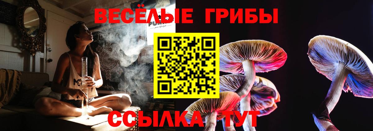 Псилоцибиновые грибы ЛСД Азнакаево